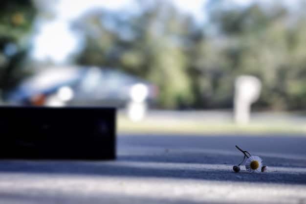 A severely cracked and potholed asphalt road surface, with blurred cars passing in the background, illustrating the urgent need for road repair.