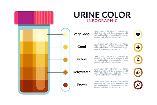 A detailed infographic comparing the clinical accuracy (sensitivity and specificity) of colonoscopies, advanced stool DNA tests, and traditional FIT tests for detecting colon cancer, featuring data points and simple, clear visual representations.