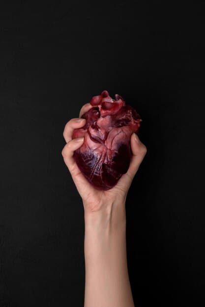 A close-up shot of a human heart model, gently held in hands, with subtle, healthy veins visible, symbolizing care and health.