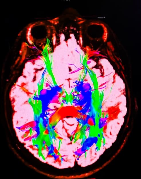 Alzheimer’s Breakthrough: Early Detection Research Offers New Hope
