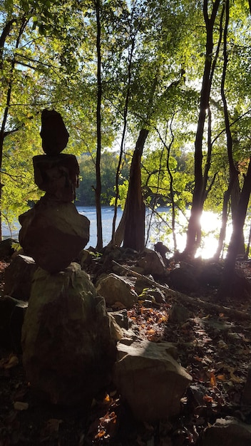 Mindfulness Meditation: Stress Reduction Benefits